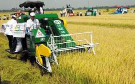 Nghị định của Chính phủ về quản lý, sử dụng đất trồng lúa